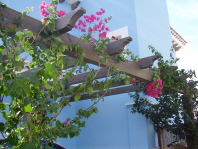 Pergola